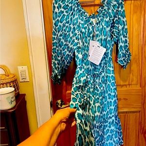 Diane Von Fursternberg Dress